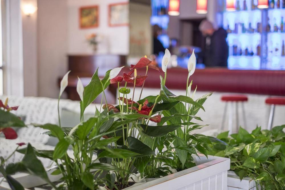 Hotel Venus Bellaria-Igea Marina Ngoại thất bức ảnh